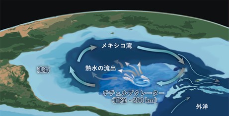 【海外限定】 pc|page 科学